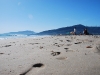 Пляж Playa de Punta Paloma